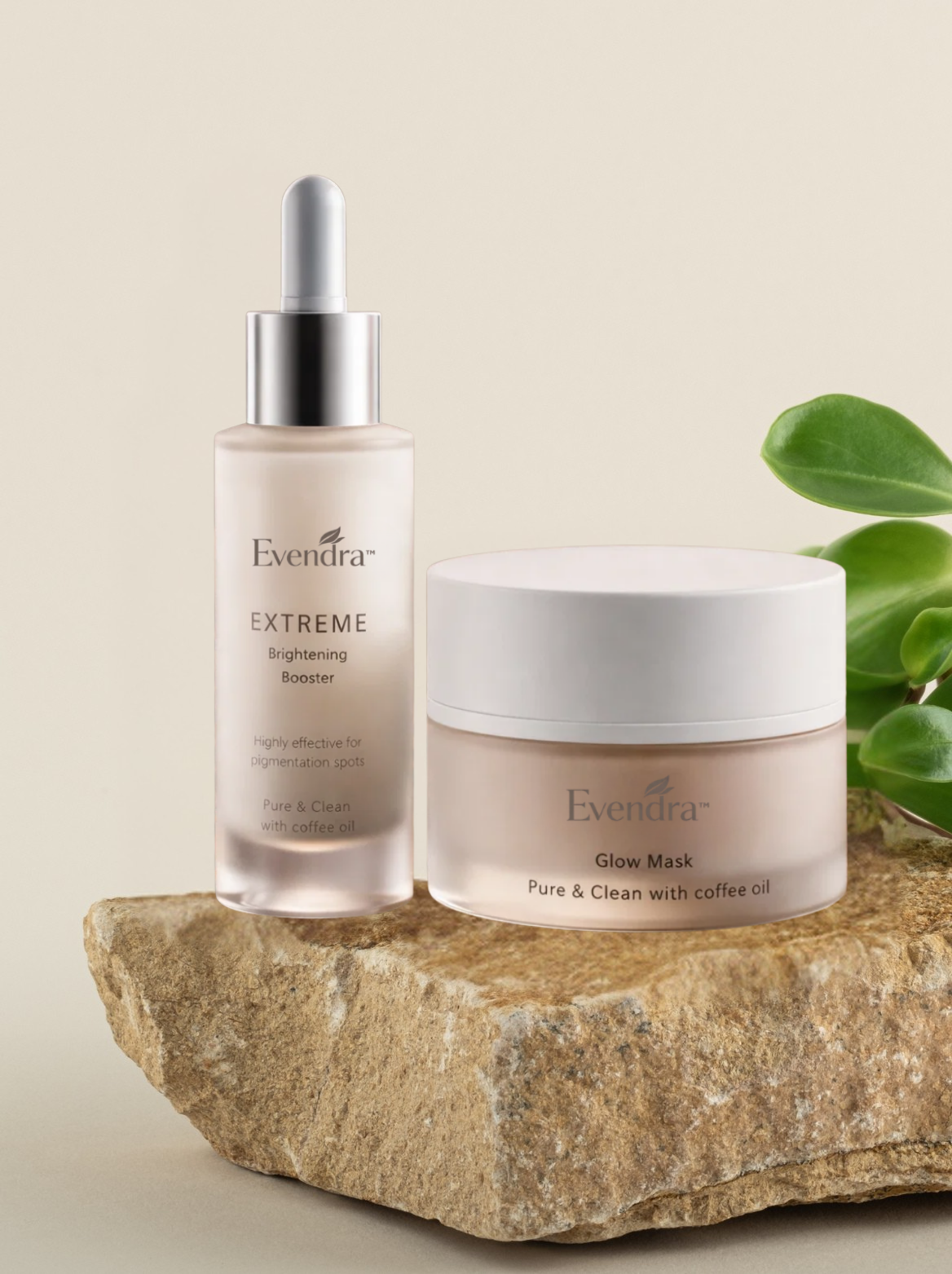 Evendra product